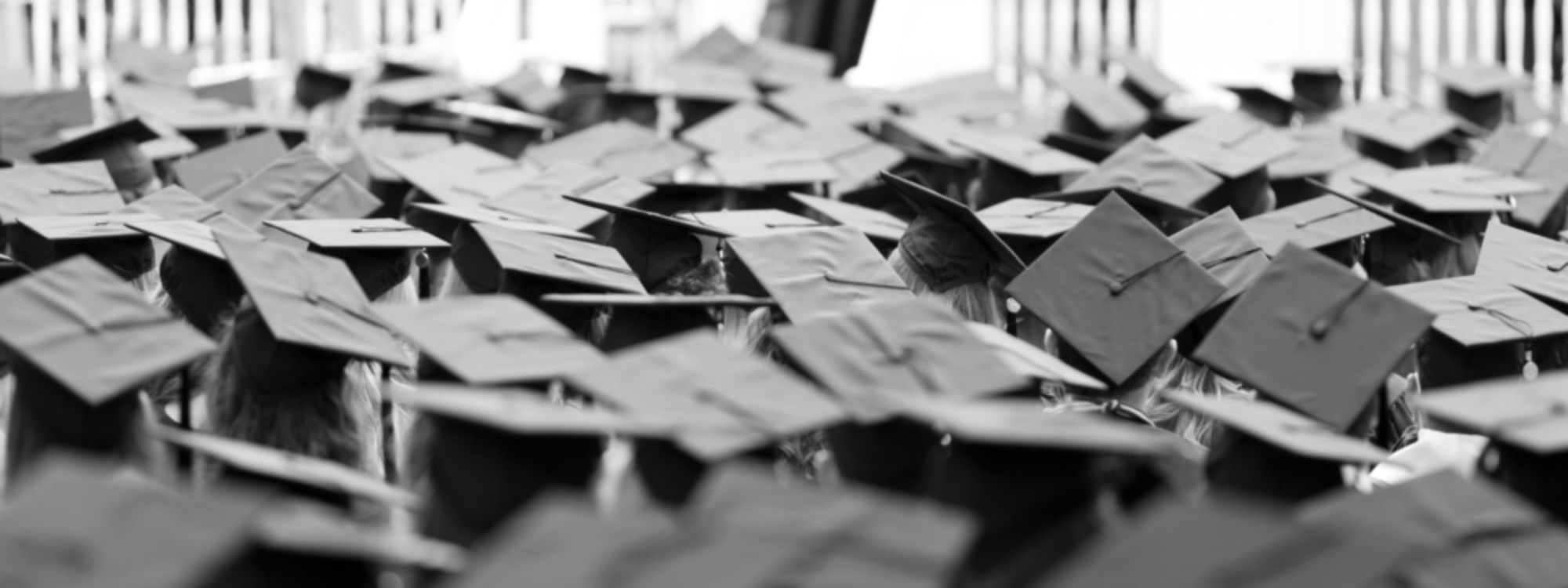image of graduation caps in a group
